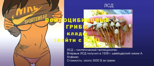 тгк Абаза