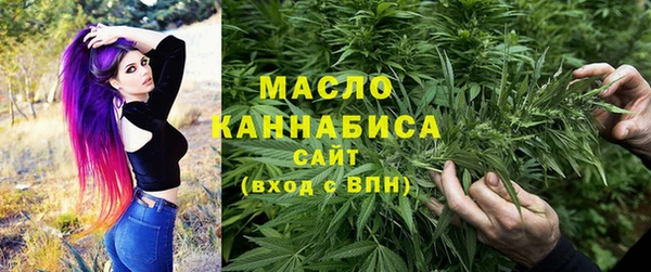 тгк Абаза