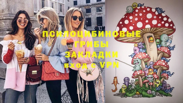 тгк Абаза