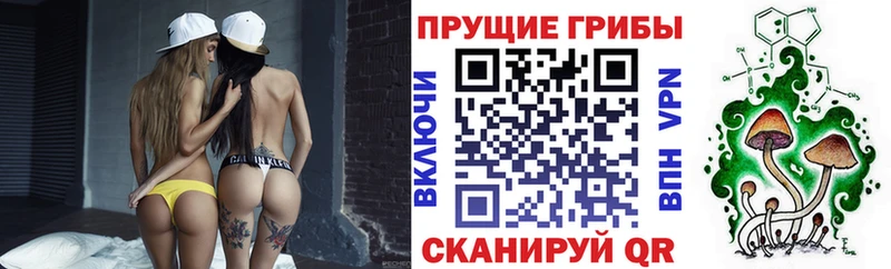 маркетплейс какой сайт  где купить наркоту  Ряжск  Псилоцибиновые грибы мухоморы 